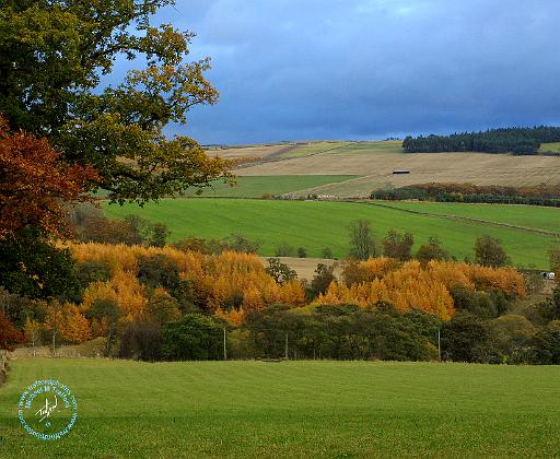 Scottish Borders 9P67D-23.JPG